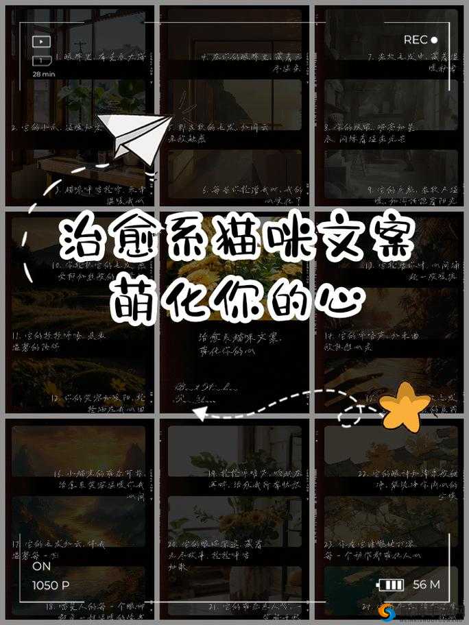 让我蹭一蹭宝宝：感受无尽的温暖