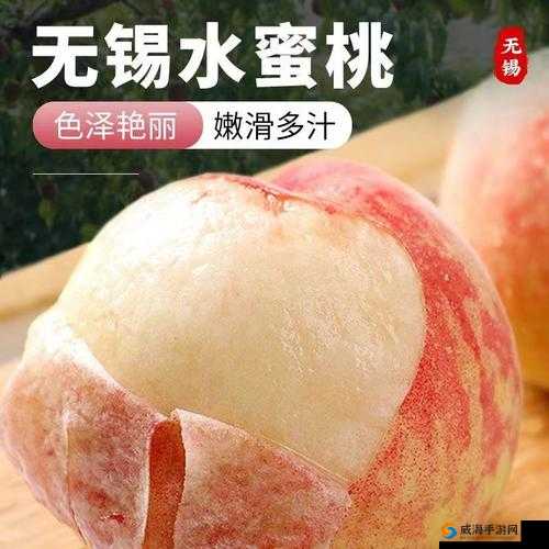 79 国精产品水蜜桃 hd：极致享受之桃