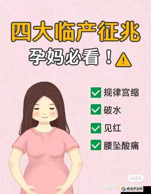 WHEELTPE 孕妇轮时间将获得延长：意义重大