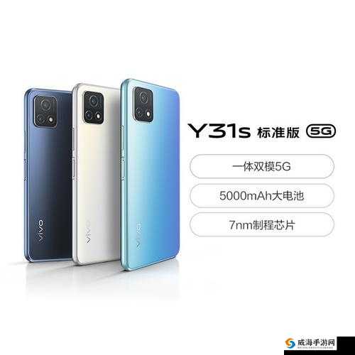 后成色好的 y31s 标准版官网：高性价比之选