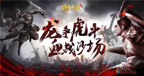 弑魂群雄争霸跨服 PK 精彩全析与深度解读