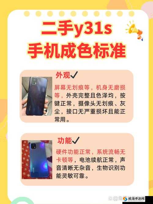 一级成色好的 Y31s 标准：详细解析与优势