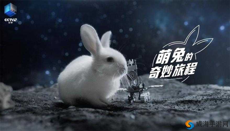 香艳职场客服与跳蛋的奇妙故事