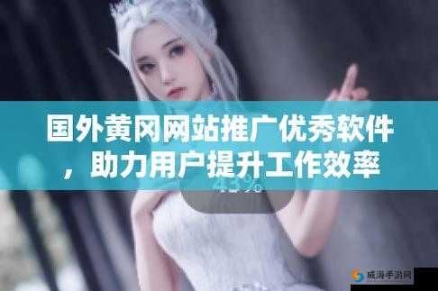 国外黄冈网站推广软件：助力你的线上推广