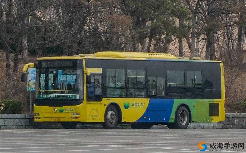 几天没 C 水这么多公交车：乘客直呼过瘾