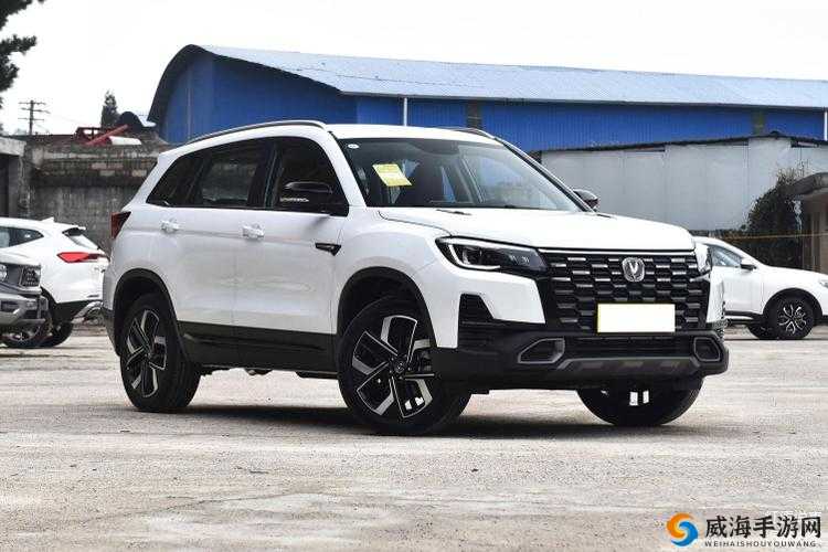 国产 SUV 精品一区二区：畅享驾驶乐趣的最佳选择