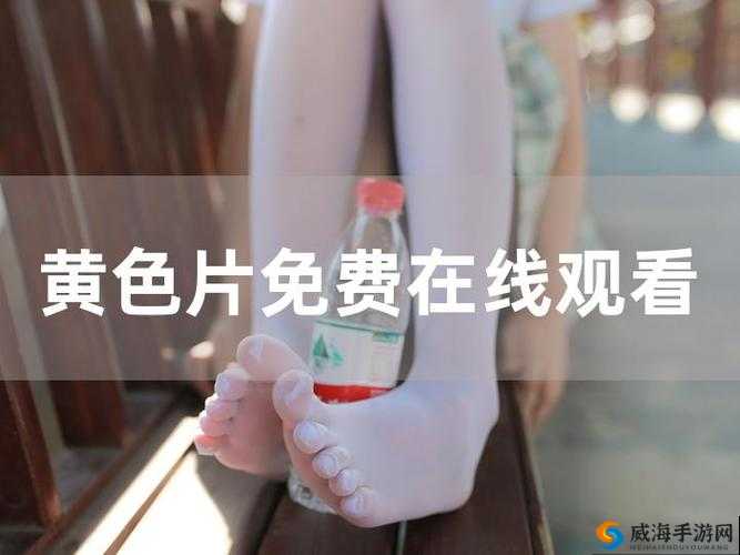 三年片在线观看免费大全哔哩哔哩_第20集：精彩内容呈现