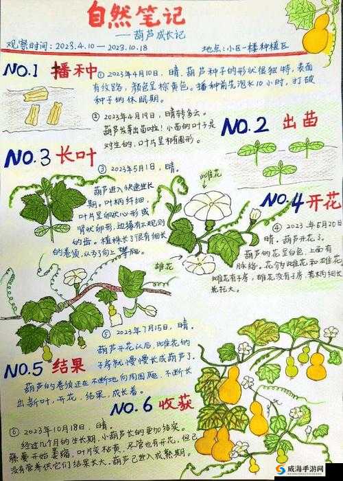 98 精产国品一二三产区区：探索未知的奥秘
