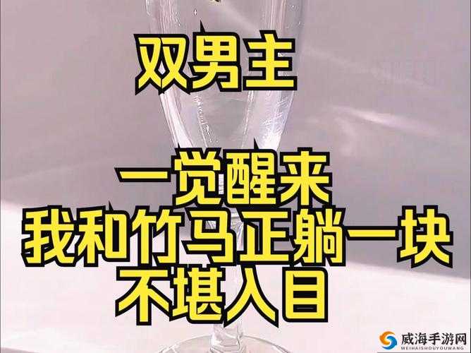 双男主做酱酱酿酿视频大全：激情无限