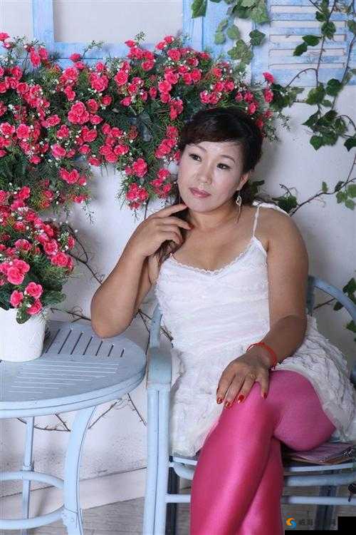 肥熟老妇 500 部精彩内容呈现
