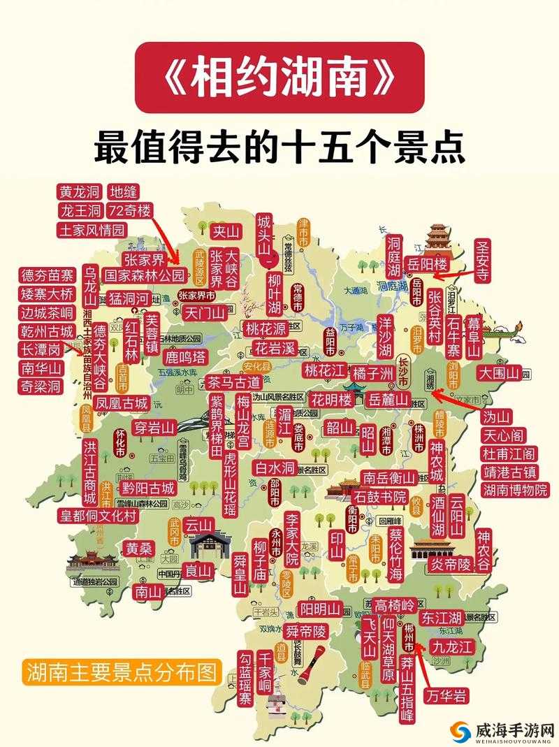 麻豆蝌蚪窝：精彩内容等你来探索