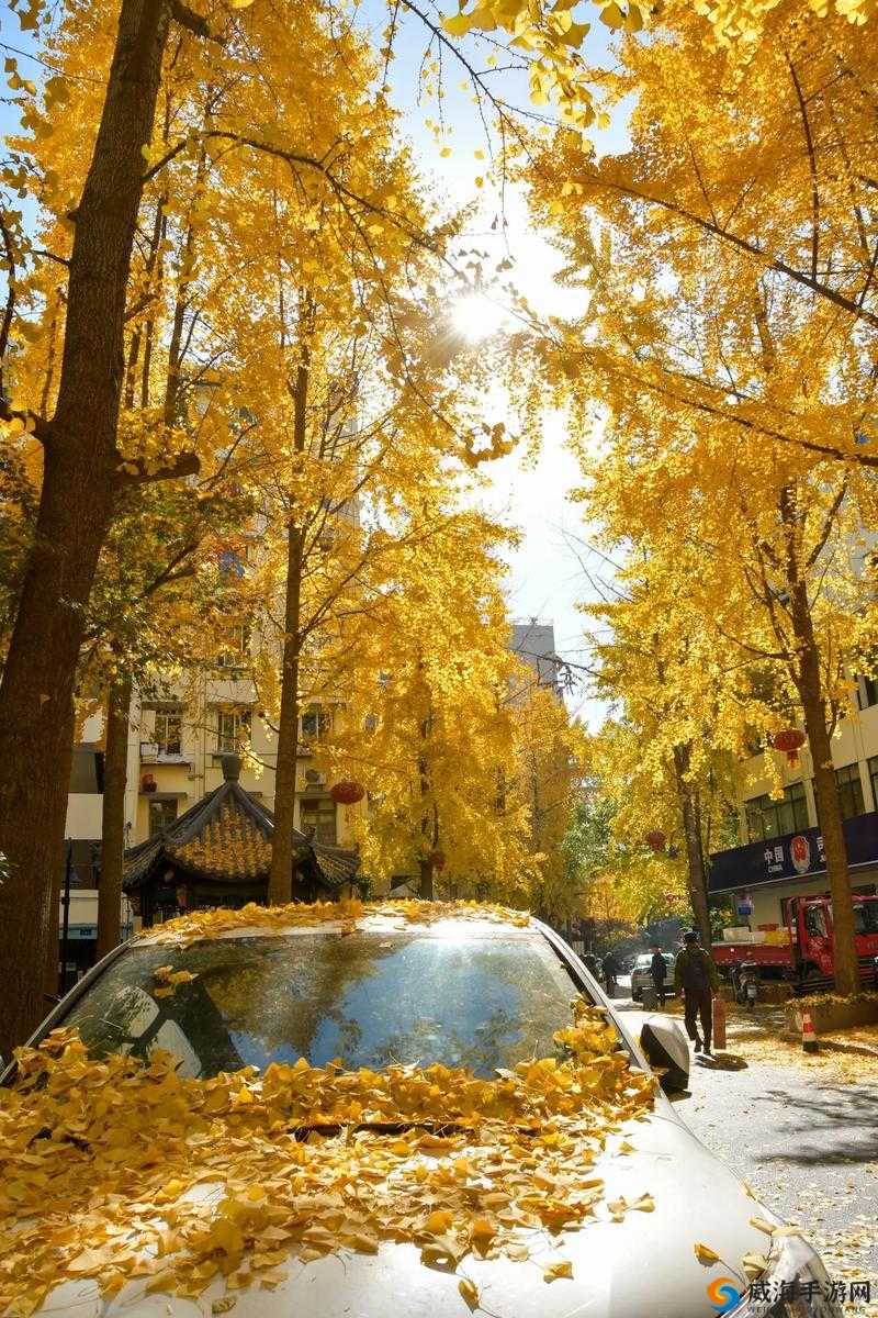 雅典拉开火车视频高清震撼呈现