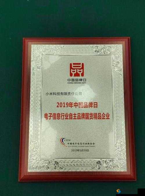 国精产品 999 国精产品：优质国货代表
