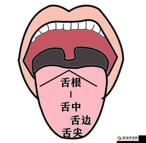 他的舌头：魔力何在？
