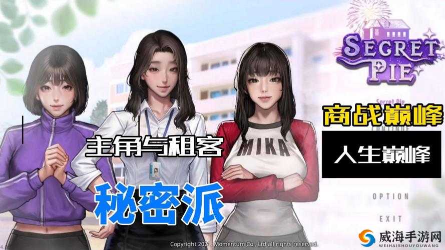 Secret Pie全成就攻略：通关选择指南