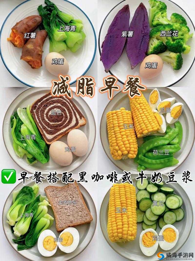 半熟米饭 1984：跨越时空的美味之旅