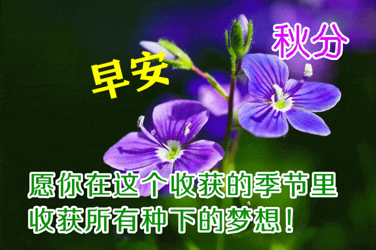 2023 最新秋分简短祝福语 传递温馨与美好