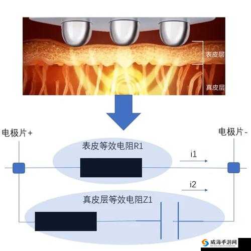 433MH2 射频对人体影响及无限次数看片探讨