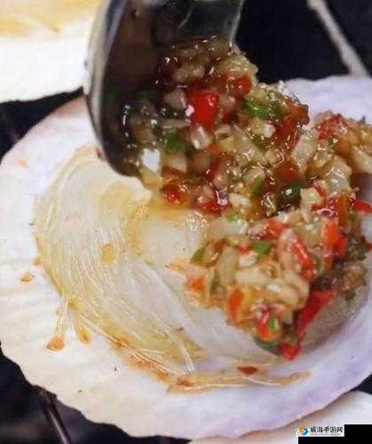迈开腿尝尝你的小扇贝的别样体验