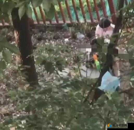 911 红领巾爆料吃瓜上海化学老师：事件始末
