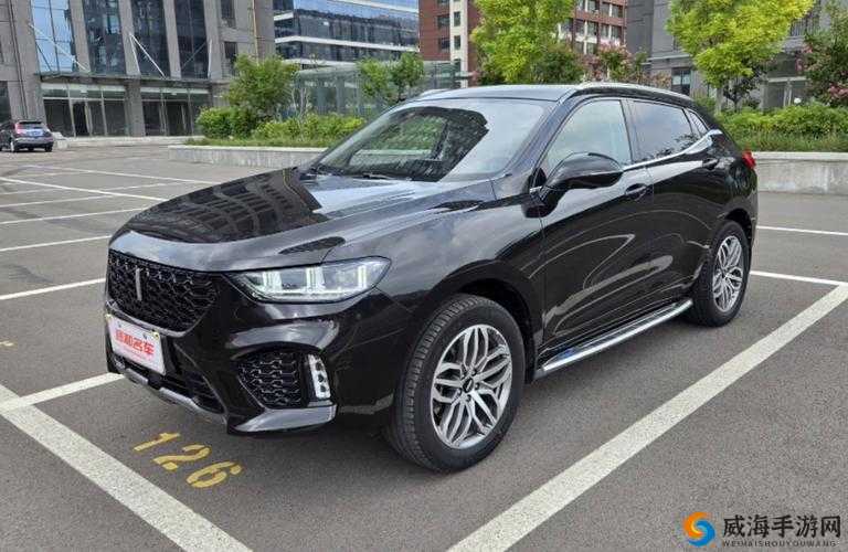 Wey-VV5 国产 SUV 品质卓越备受青睐