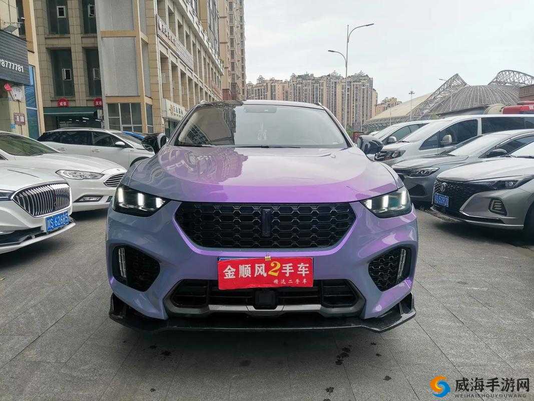 weyvv5 国产的 SUV ：畅享极致驾乘体验