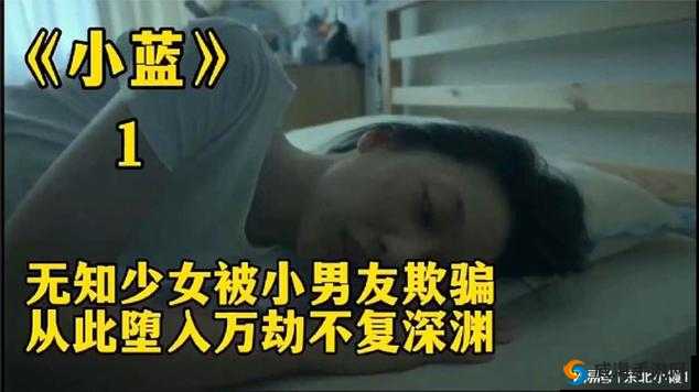 小蓝视频：一段引发热议的影片