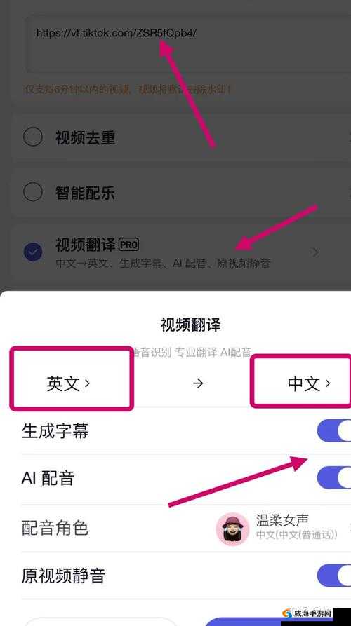 中文字幕视频翻译成英文的方法及技巧