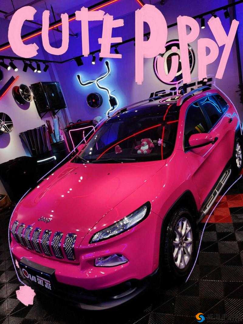 桃红色 Jeep 界人口特点鲜明独特