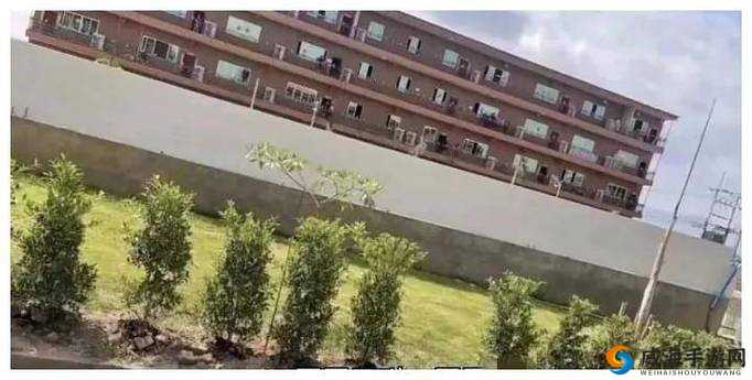 缅北珍珠奶茶刑罚全过程揭秘