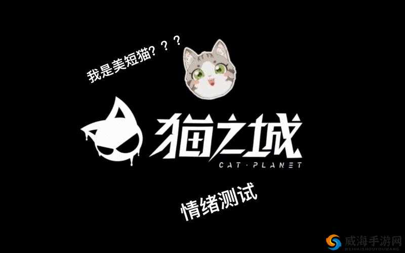 猫之城情绪测试：探索情绪，发现自我