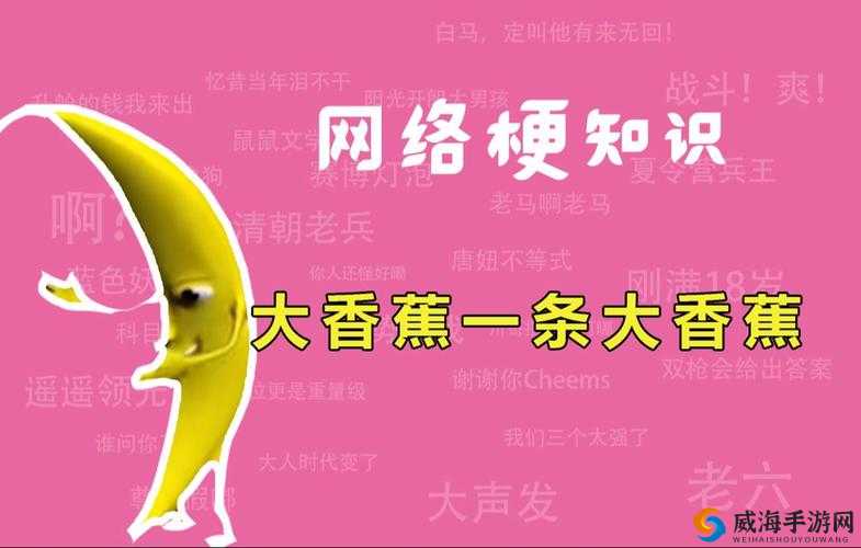 人人网大香蕉：一个有趣的存在