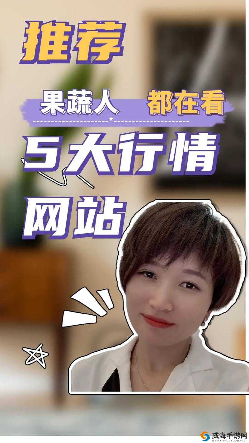 免费行情软件网站 mnw:精准行情的引领者