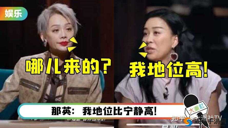 宁静大战那英：突然打起来的背后真相？