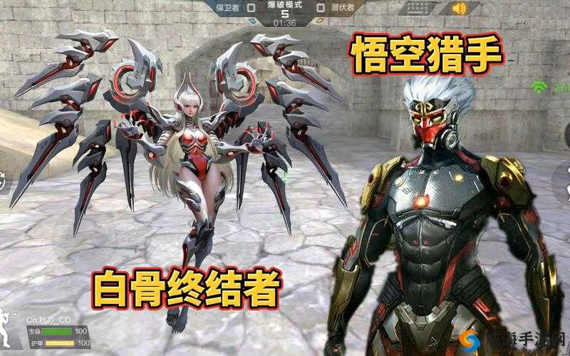白骨终结者 P 光图：探索奇幻奥秘