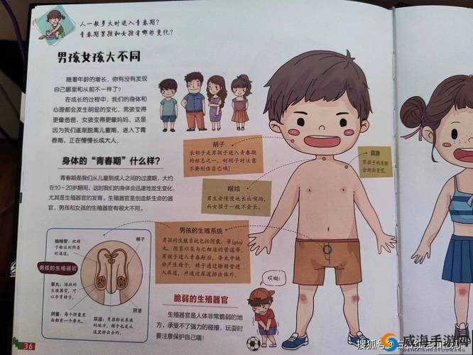 被男生发现我看到了他的睾丸：尴尬与应对