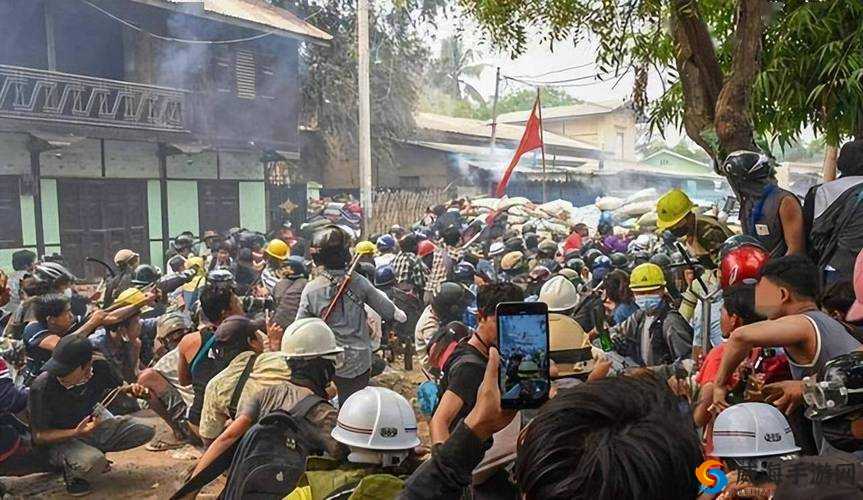 缅北北部血腥 2024 黑网：背后的真相