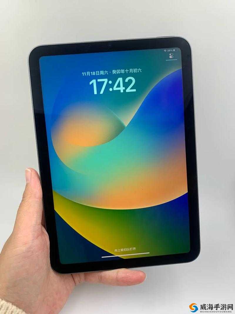 秘密入口 Mini6 安全攻防之深度解析