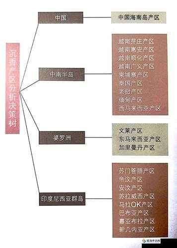 沉香一线产区与二线产区区别解析