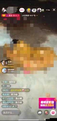 王伦宝 1069 在线:一场引人深思的网络现象