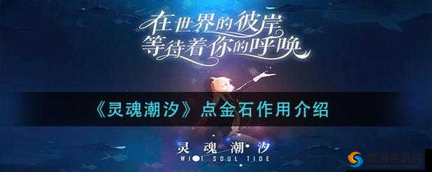 灵魂潮汐点金石：揭秘其神秘功能与作用详解