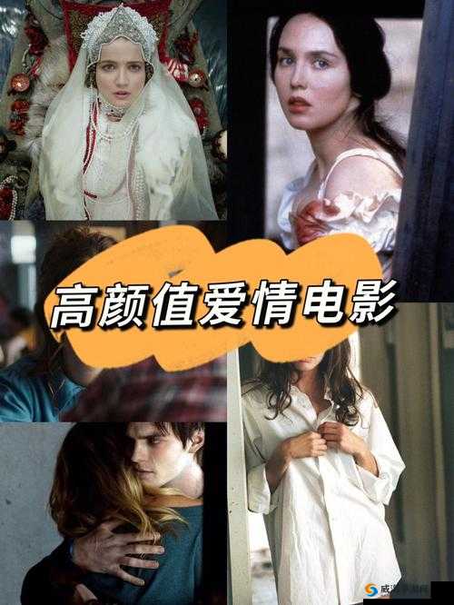 最美情侣中文在线电影资源：精彩抢先看