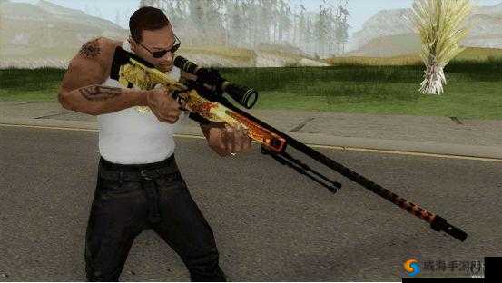 日本 CSGO 大姐姐 AWP 价格：