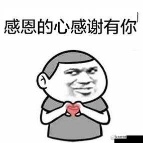 打开你会回来感谢我的 2024：开启精彩未来