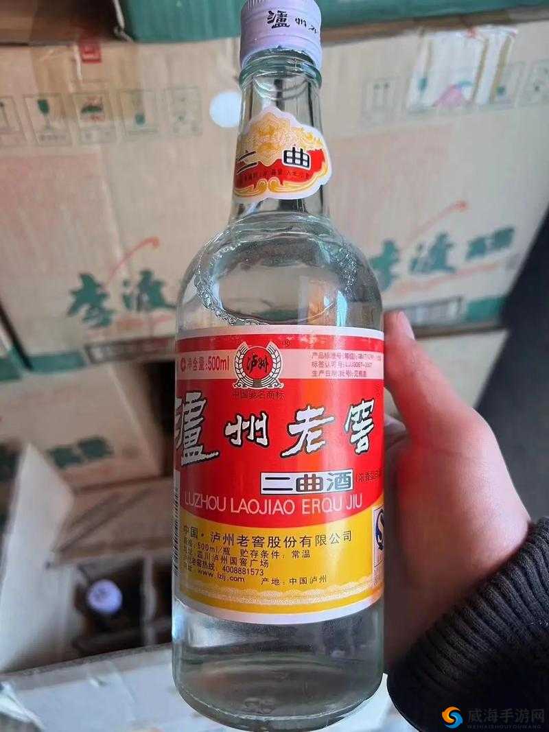 日本免费一曲二曲三曲：音乐盛宴等你来