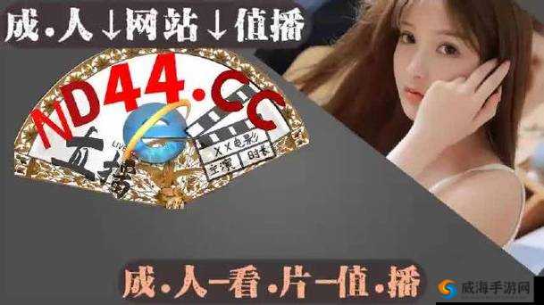 免费做运动扑克视频网站大全：发现更多精彩视频
