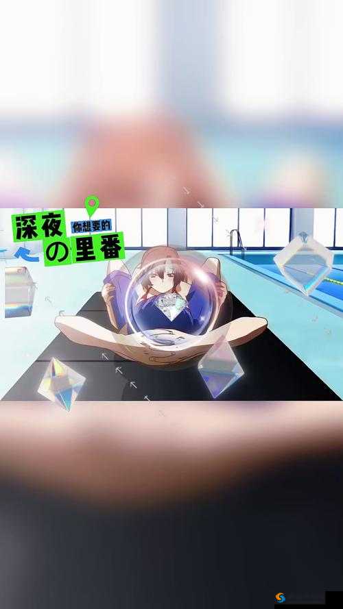 wmvideodecoder 魅力无限