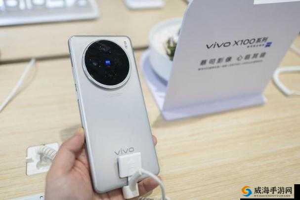 成色好的 Y31 免费：品质卓越值得拥有