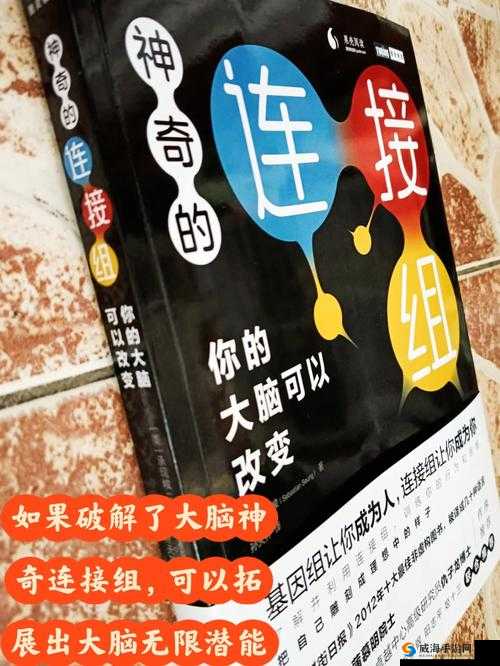 ..220.38- 探索未知的神秘领域