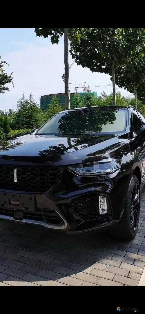 weyvv5 国产的 SUV 视频:震撼呈现魅力座驾